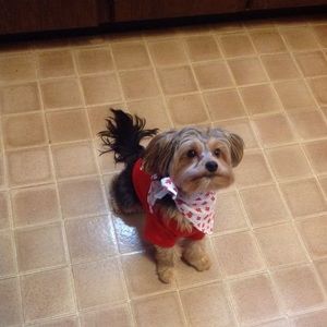 Meet your Posher, Brenda